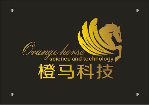 惠州市橙馬網(wǎng)絡(luò)科技